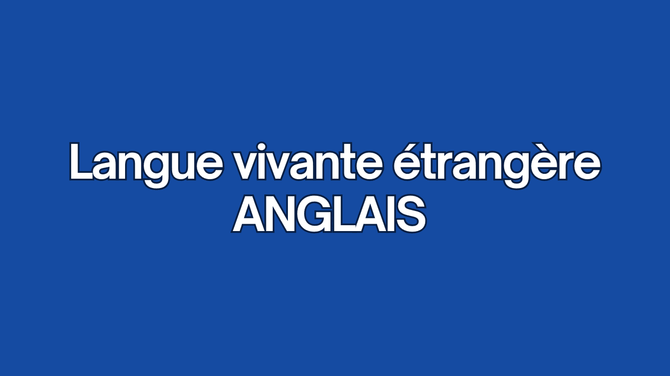 Vocabulaire commercial, simulations de négociation, entraînement aux oraux.