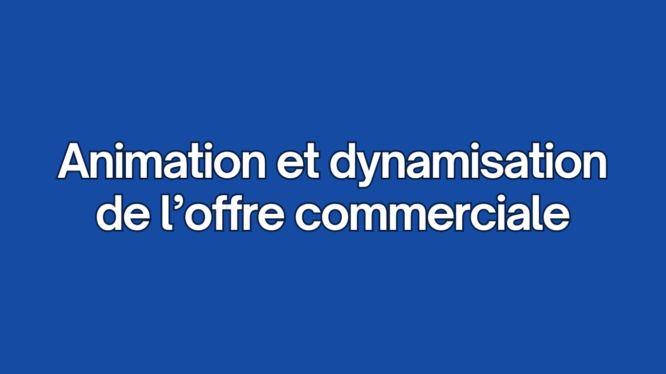  Pilotage d’actions commerciales plus stratégiques, analyse des résultats, adaptation de l’offre.