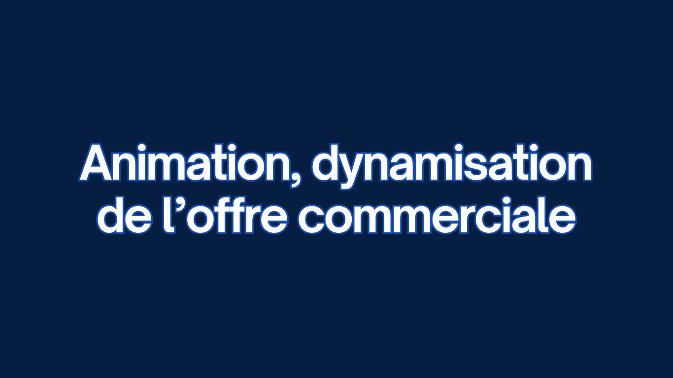 Mise en valeur des produits/services, merchandising, communication commerciale, actions promotionnelles.